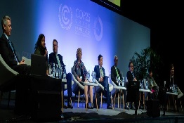 At COP25, UN Agencies Commit to Turn the Tide on Deforestation